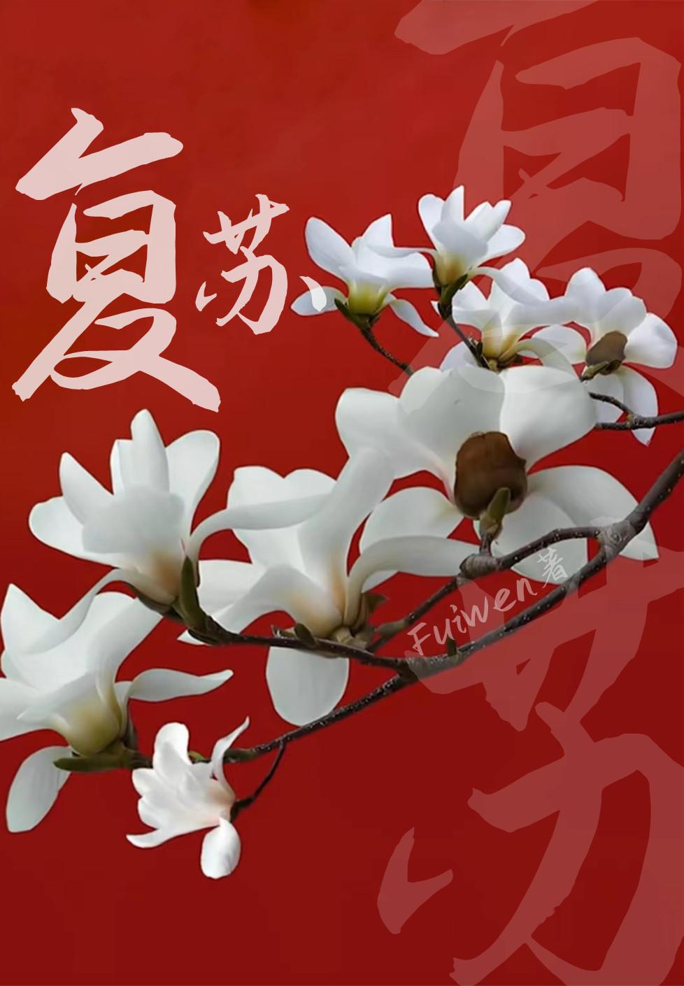 呼吸气囊的六个阀门