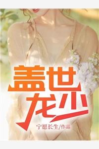 宁尘少帅是哪部都市绝品少帅