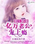 重生娇妻亿万老公宠上瘾江城听风