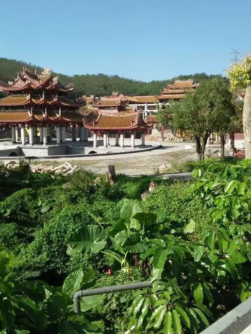 虫仙争霸为什么不写了