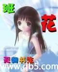 我的班长我的班电视剧演员表