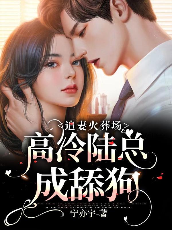 陆总追妻火葬场苏诺陆牧野