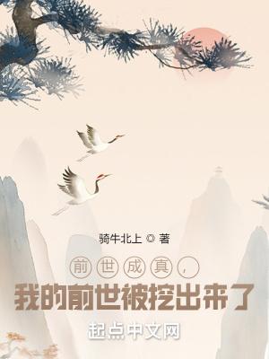 前世我埋的人