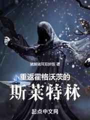 从霍格沃兹开始的退休生涯