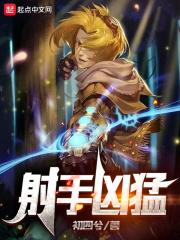 重装射手免费阅读