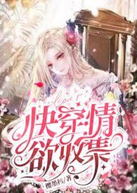 快穿之系统收集者