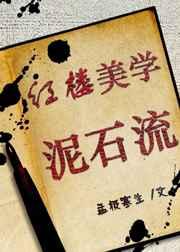 从美学角度看红楼梦