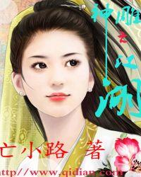 神雕之江湖美女