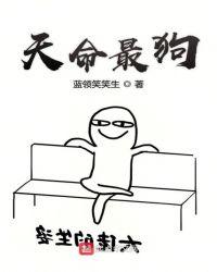 命天狗是什么意思
