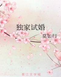 独家试婚 莫如归
