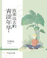 致那逝去的青春