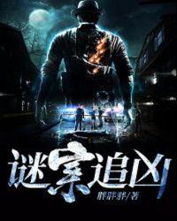 谜案追凶免费播放