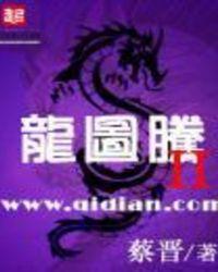 龙图腾简约