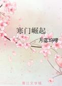 寒门崛起朱平安笔趣阁免费