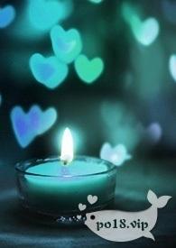春天额的花