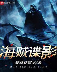 海贼谍影主角的能力