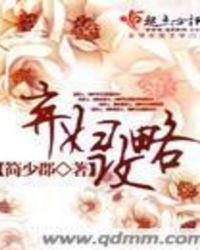 弃妇攻略txt