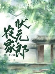 农家状元郎成三十免费阅读