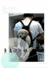 多看你一眼是什么歌