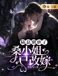 陆总的小逃妻惊艳全球