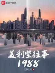美利坚往事1988笔趣阁手机版