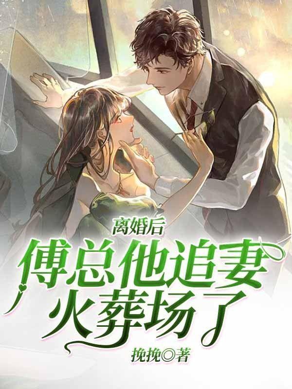 傅总追妻火葬场全文免费阅读