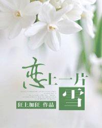 恋上一片雪笔下文学网