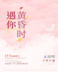 黄昏时遇到你