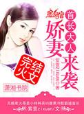 娇妻来袭 第105章