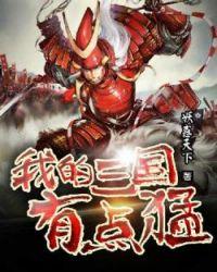 我的三国有点猛txt