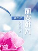 重生前妻文