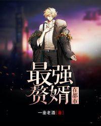 最强赘婿在都市22