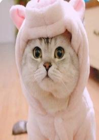 肠胃不好吃那种益生菌好