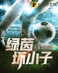 绿茵坏小子免费
