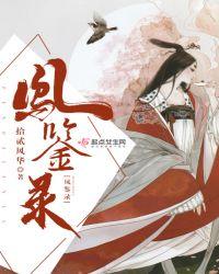 凤鉴录 拾贰风华
