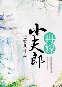 再嫁小夫郎晋江