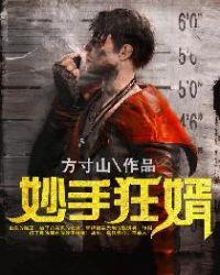 妙手狂婿txt