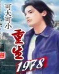 重生1978之强国崛起杨天华