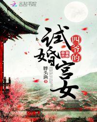 四爷独宠试婚宫女最新章节手机阅读