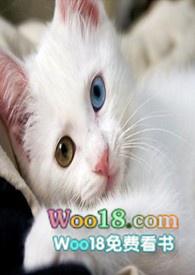 万草丛中一只猫是什么歌