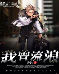 我曾流浪在你心上 是什么歌曲