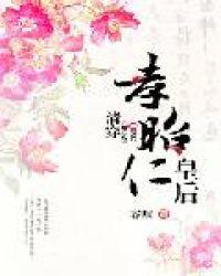 清穿孝昭仁皇后系统