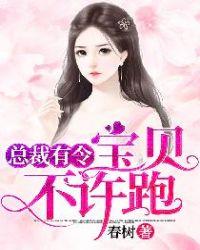 总裁有令宝贝不许跑秦思甜