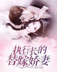 执行长别闹全文阅