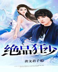 绝品狂少老灰狼叶凡