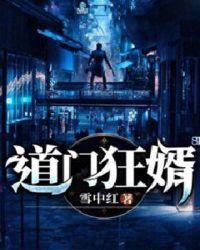 道门狂婿全集在线播放