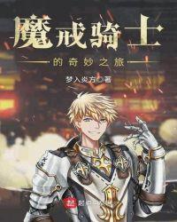 魔戒骑士的奇妙之旅攻略