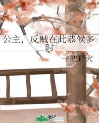 公主 反贼在此恭候多时