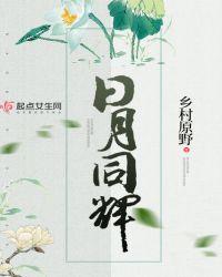 法天象地日月同辉