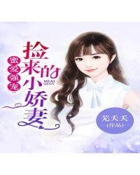 捡来的蜜糖txt